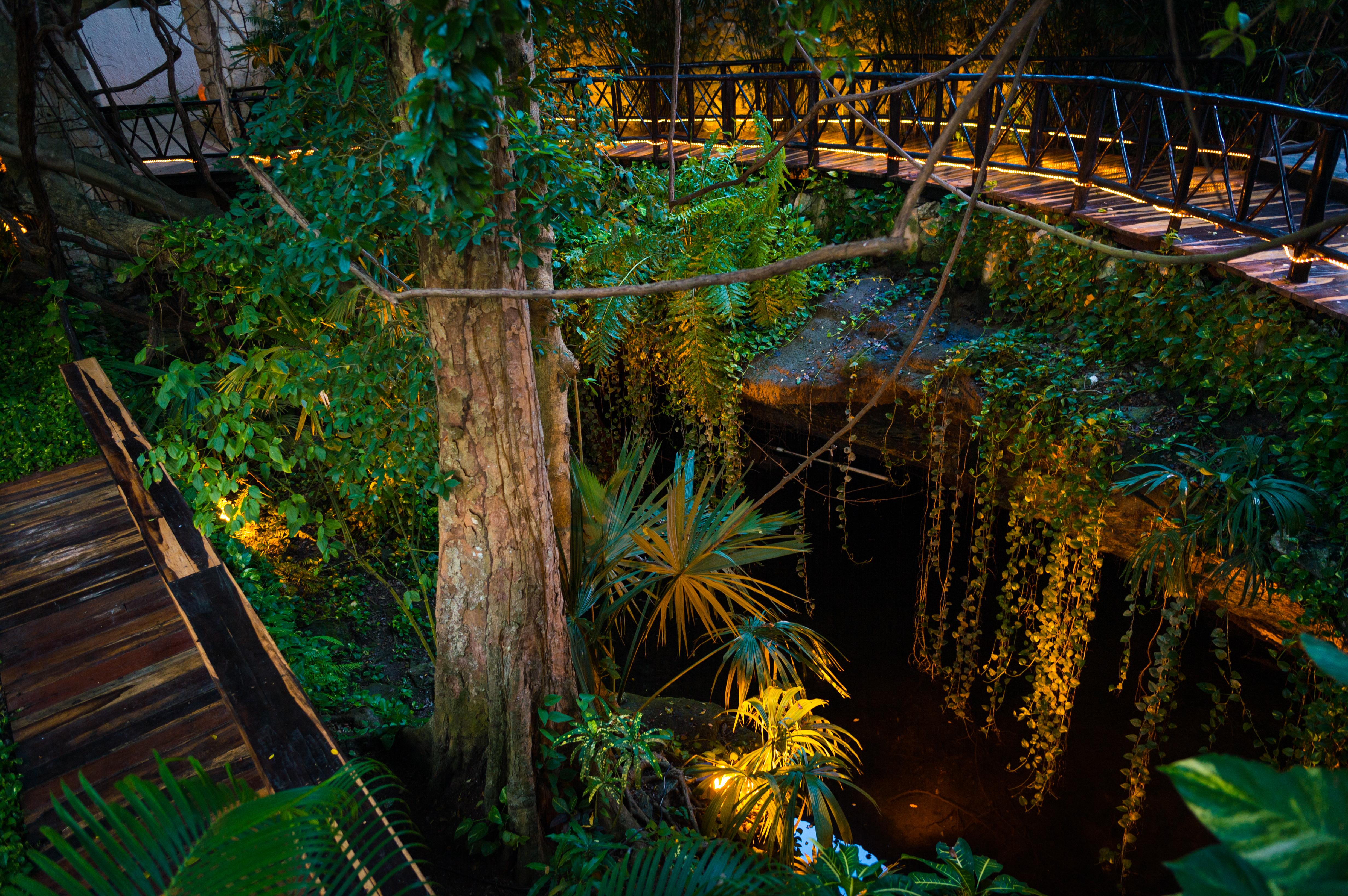The Reef Playacar Beach Resort & Spa Playa del Carmen